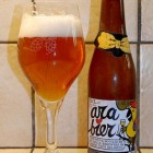 Oerbier en Arabier: Belgische bieren die je moet proeven