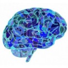 Neuromarketing: technieken, toepassingen en ethisch bezwaar