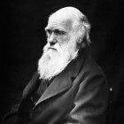 Wat kunnen auditors leren van Darwin?